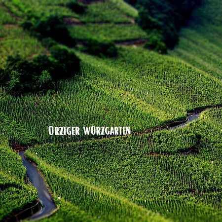 Erden Apartment Weingut Dr Hermann I מראה חיצוני תמונה