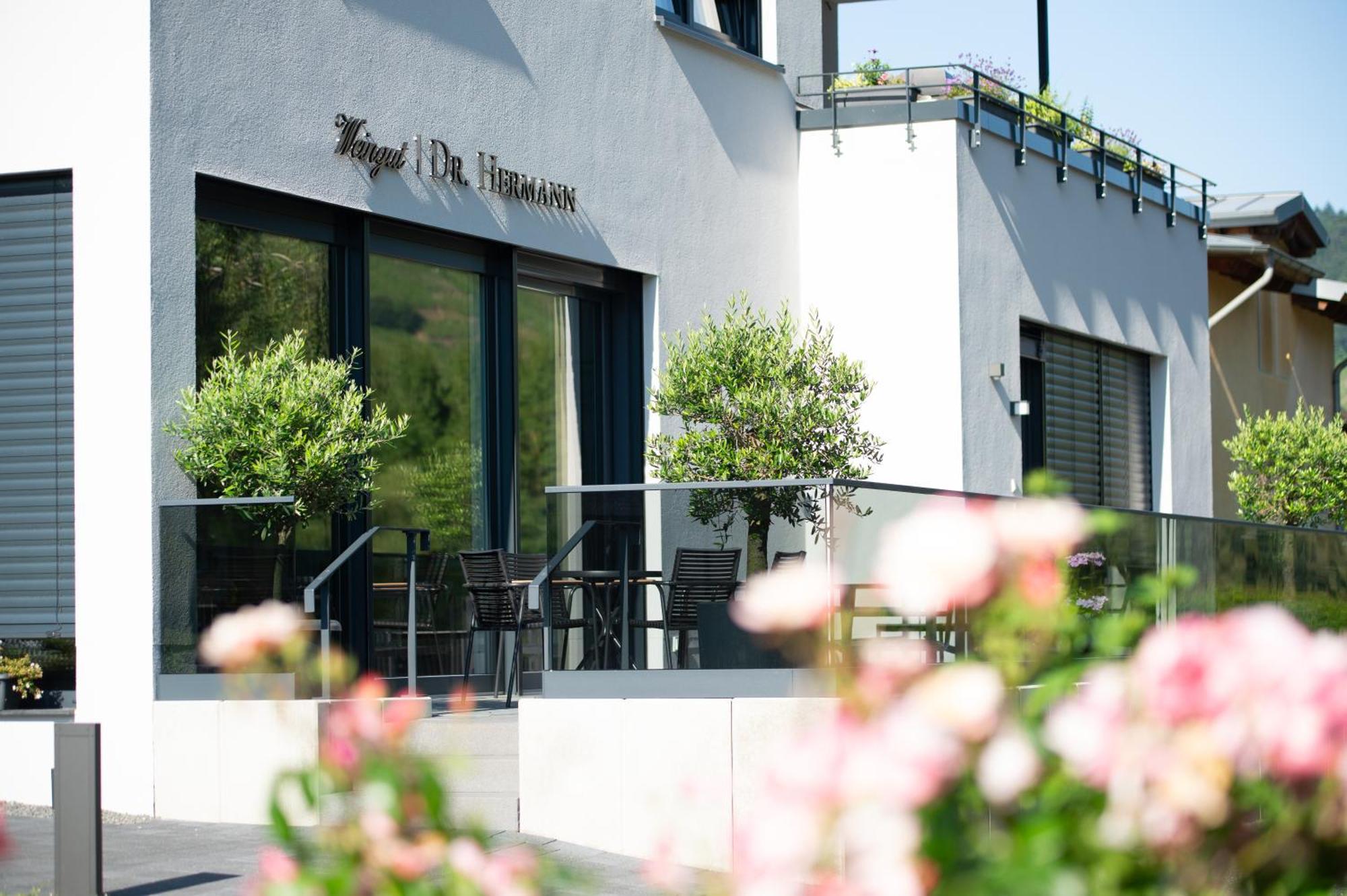 Erden Apartment Weingut Dr Hermann I מראה חיצוני תמונה